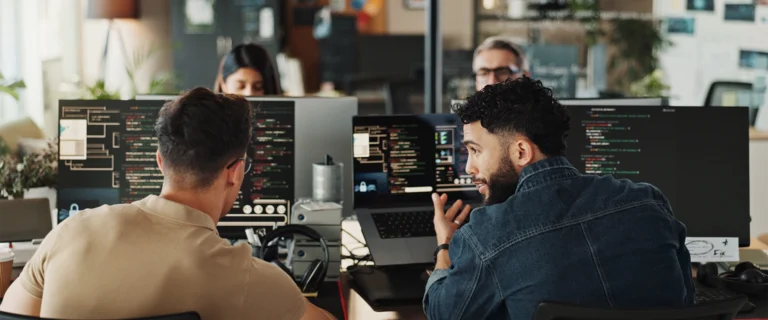 What is a software audit?