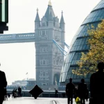 Why are London Software Development Companies Looking for Software Developers?