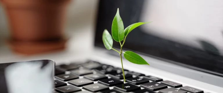 Transforming a smart business idea into a scalable web application