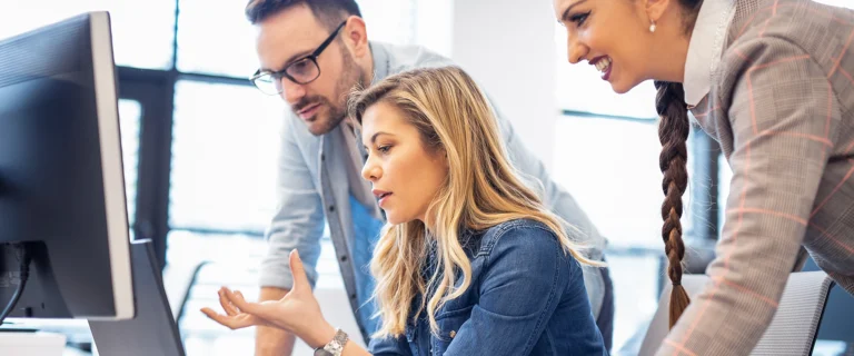 Software Risk Management for Complex and High Stakes Projects